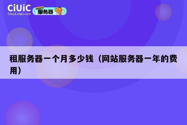 租服务器一个月多少钱（网站服务器一年的费用）
