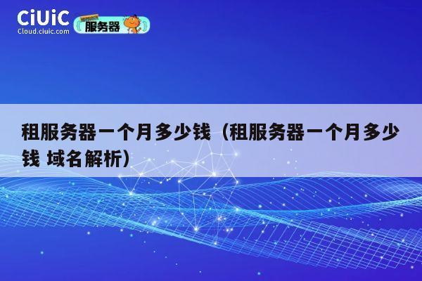 租服务器一个月多少钱（租服务器一个月多少钱 域名解析）