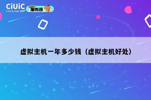 虚拟主机一年多少钱（虚拟主机好处）