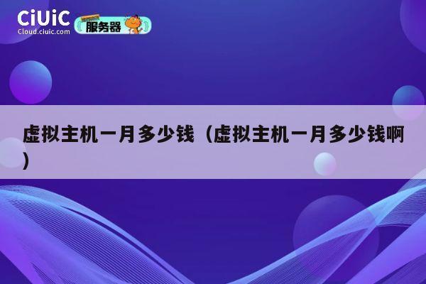 虚拟主机一月多少钱（虚拟主机一月多少钱啊）