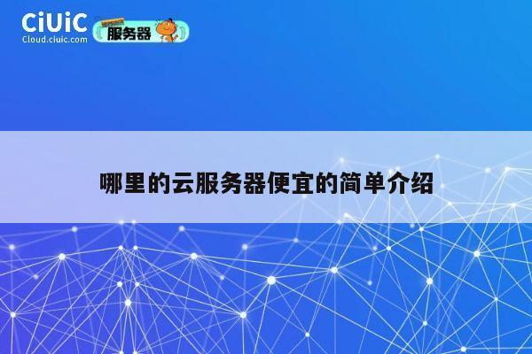 哪里的云服务器便宜的简单介绍