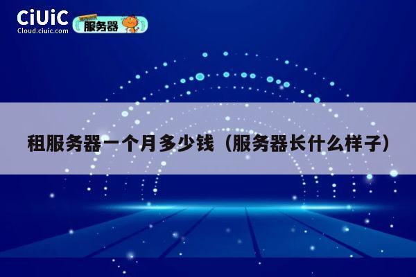 租服务器一个月多少钱（服务器长什么样子）