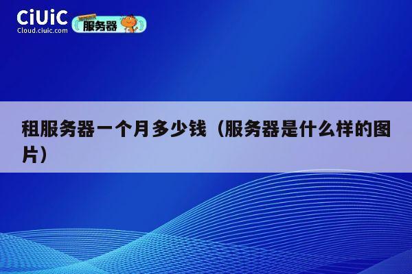 租服务器一个月多少钱（服务器是什么样的图片）