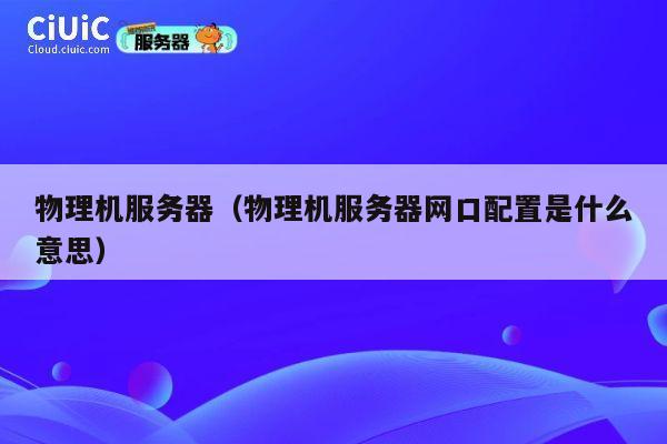 物理机服务器（物理机服务器网口配置是什么意思）